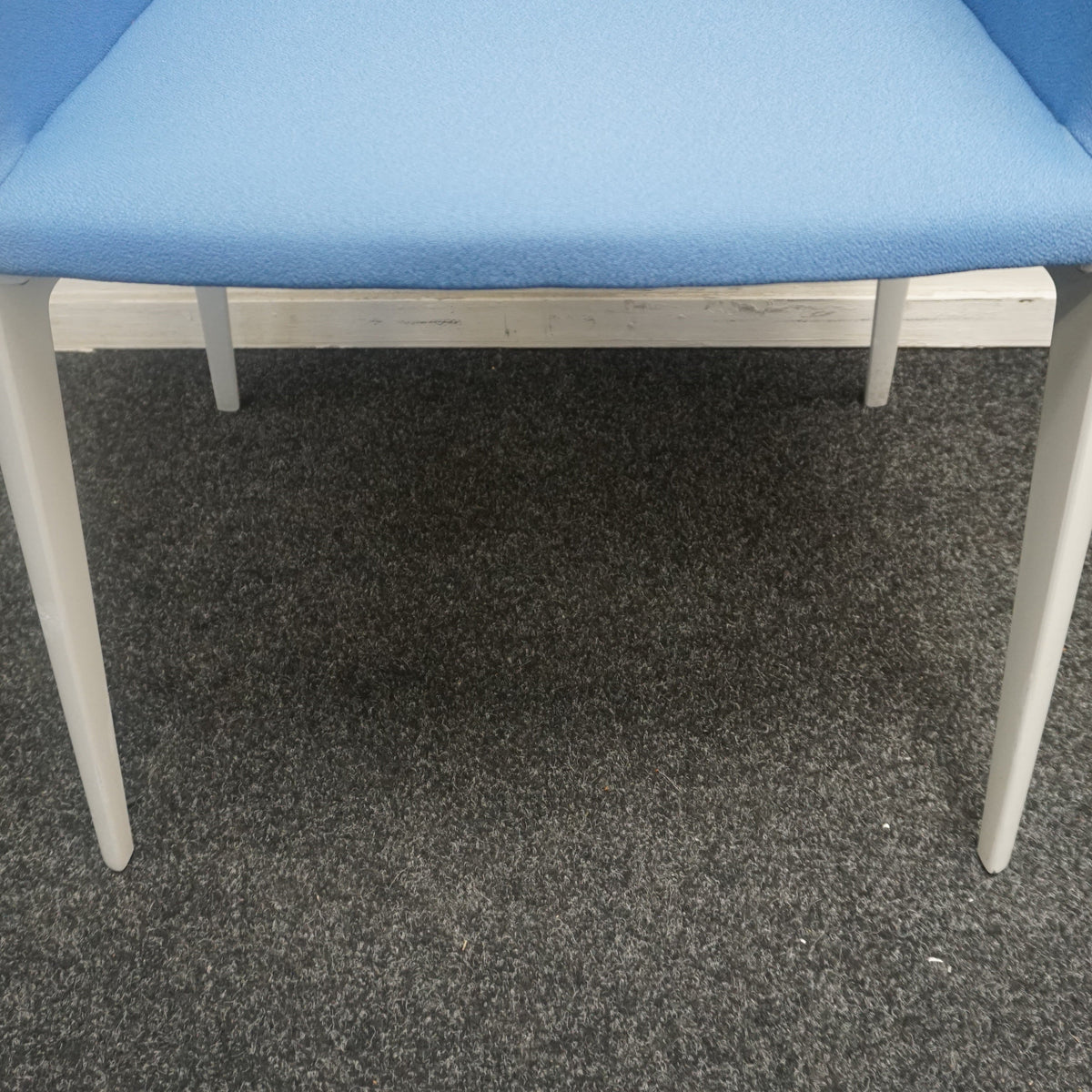 Pedrali Laja 885 Design Stoel | Wit / Blauw