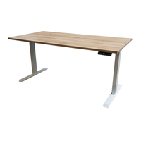 Refurbished Elektrisch Zit Sta Bureau | 160x80 cm